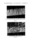 APPARATUS THAT INCLUDES NANO-SIZED PROJECTIONS AND A METHOD FOR     MANUFACTURE THEREOF diagram and image