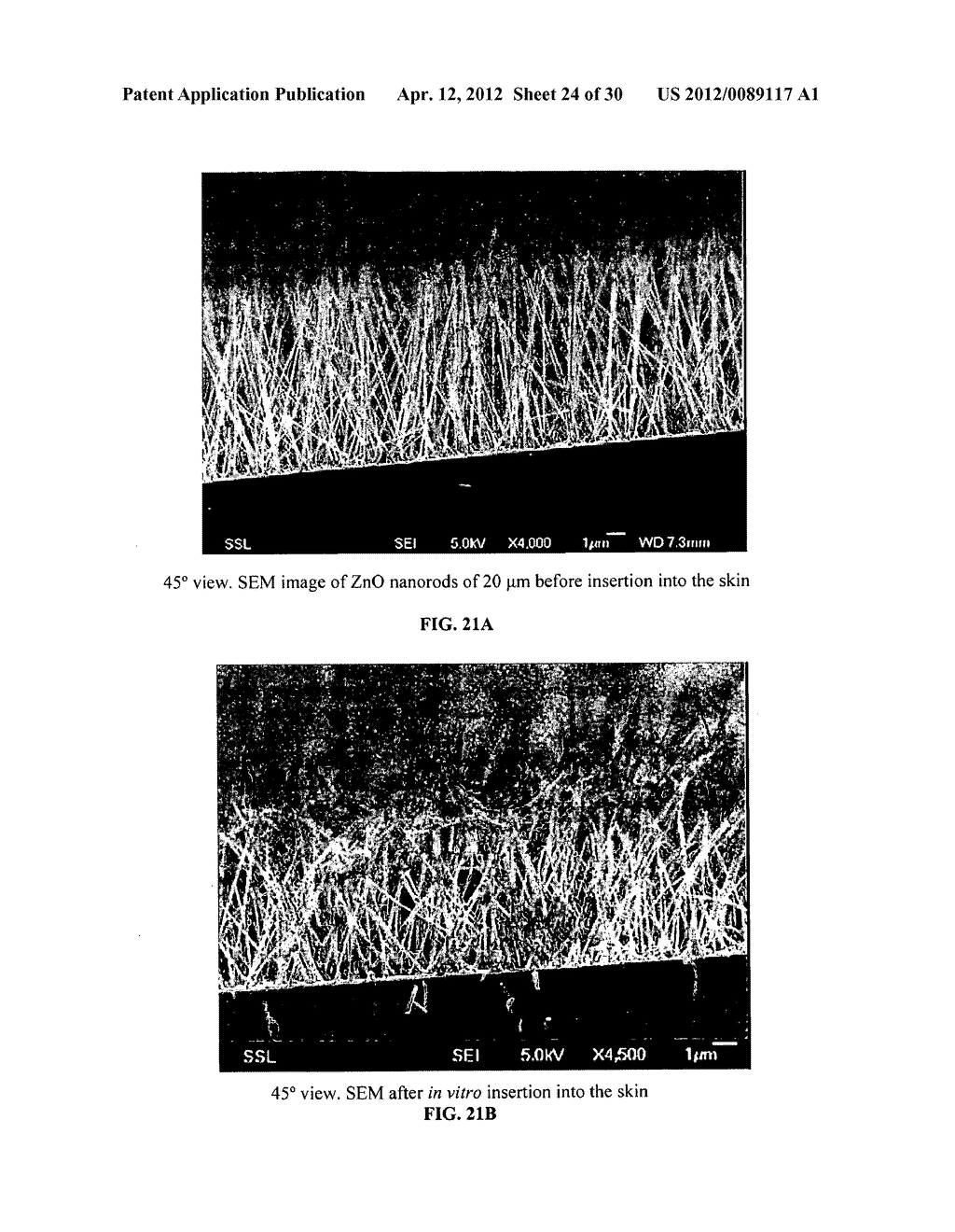 APPARATUS THAT INCLUDES NANO-SIZED PROJECTIONS AND A METHOD FOR     MANUFACTURE THEREOF - diagram, schematic, and image 25