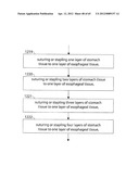 STOMACH INSTRUMENT AND METHOD diagram and image