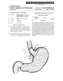 BARIATRIC DEVICE AND METHOD diagram and image