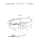 System for Therapeutic Application of Heat diagram and image