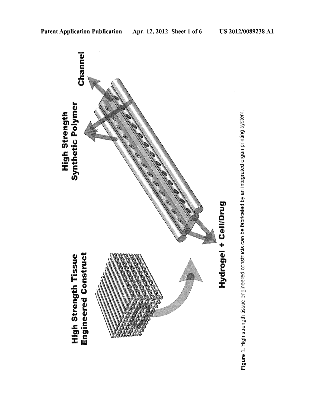 INTEGRATED ORGAN AND TISSUE PRINTING METHODS, SYSTEM AND APPARATUS - diagram, schematic, and image 02