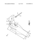 APPARATUS FOR KILLING AND REMOVING TICKS diagram and image