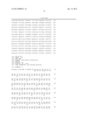 TRANSGENIC COVER PLANTS CONTAINING HEMICELLULASE AND CELLULASE WHICH     DEGRADE LIGNIN AND CELLULOSE TO FERMENTABLE SUGARS diagram and image