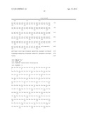 TRANSGENIC COVER PLANTS CONTAINING HEMICELLULASE AND CELLULASE WHICH     DEGRADE LIGNIN AND CELLULOSE TO FERMENTABLE SUGARS diagram and image