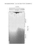 COMPRESSED AIR ENERGY STORAGE SYSTEM UTILIZING TWO-PHASE FLOW TO     FACILITATE HEAT EXCHANGE diagram and image