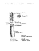 Bed Head Buster diagram and image