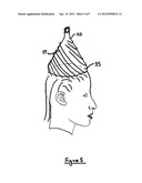 METHOD AND KIT FOR THE MULTIPLE TREATMENT OF A HEAD OF HAIR diagram and image