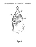 METHOD AND KIT FOR THE MULTIPLE TREATMENT OF A HEAD OF HAIR diagram and image