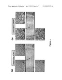 Abnormal Grain Growth Suppression in Aluminum Alloys diagram and image