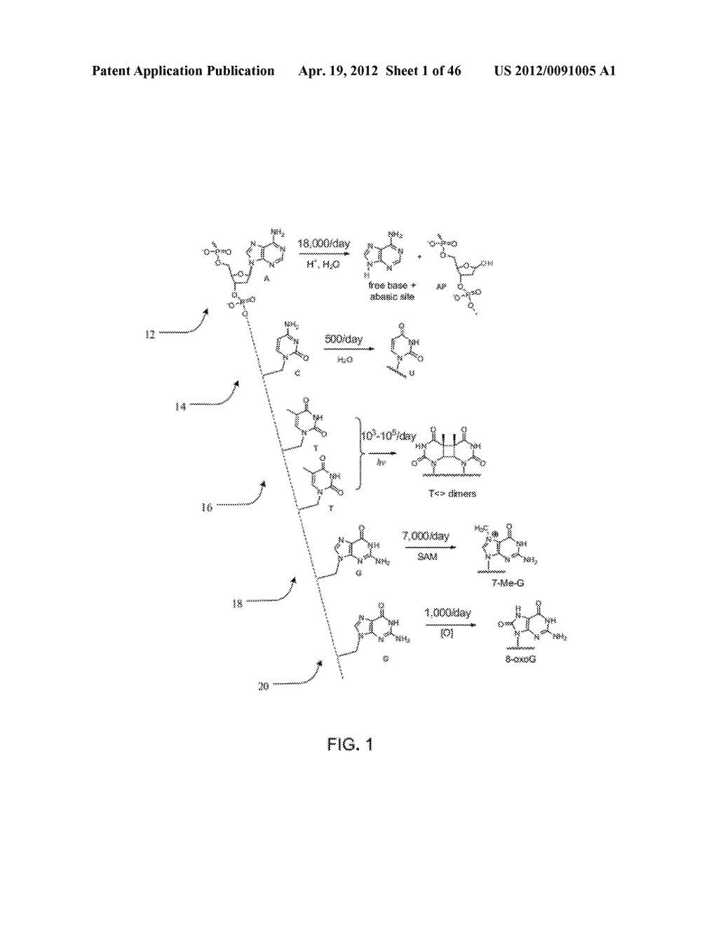 DETECTION OF NUCLEIC ACID LESIONS AND ADDUCTS USING NANOPORES - diagram, schematic, and image 02