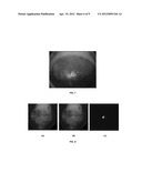 DETECTION OF CHEMICALS WITH INFRARED LIGHT diagram and image