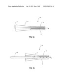 FOCUSING MULTIMODAL OPTICAL MICROPROBE DEVICES diagram and image