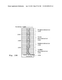 NOVEL SEMICONDUCTOR AND OPTOELECTRONIC DEVICES diagram and image