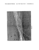 HYDROENGORGED SPUNMELT NONWOVENS diagram and image