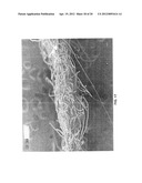 HYDROENGORGED SPUNMELT NONWOVENS diagram and image