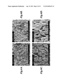 METHOD OF SELECTIVE FOAMING FOR POROUS POLYMERIC MATERIAL diagram and image