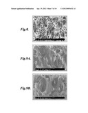 METHOD OF SELECTIVE FOAMING FOR POROUS POLYMERIC MATERIAL diagram and image