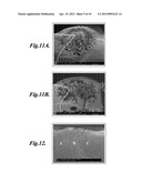 METHOD OF SELECTIVE FOAMING FOR POROUS POLYMERIC MATERIAL diagram and image