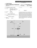 SUBMERGED CHARGING STATION diagram and image