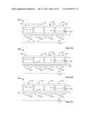 DISPLAY HAVING AN EMBEDDED MICROLENS ARRAY diagram and image