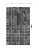 SYSTEM AND METHODS FOR PLANNED EVOLUTION AND OBSOLESCENCE OF MULTIUSER     SPECTRUM diagram and image