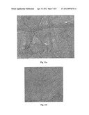  COMPOUND MATERIAL COMPRISING A METAL AND NANO PARTICLES AND A METHOD FOR     PRODUCING THE SAME diagram and image