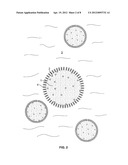 ULTRASOUND CONTRAST AGENTS AND METHODS OF MAKING AND USING THEM diagram and image