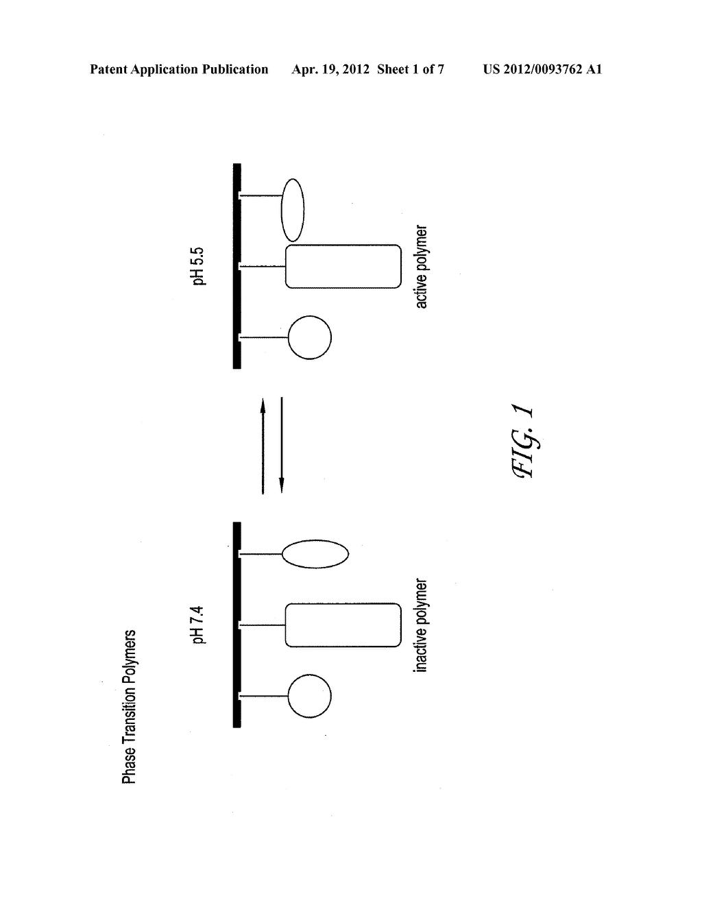 NUCLEIC ACID DELIVERY COMPOUNDS - diagram, schematic, and image 02