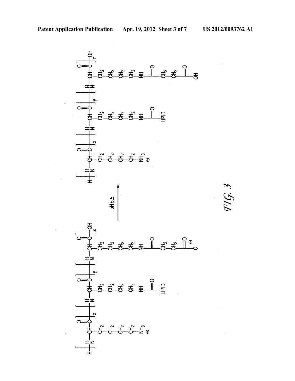 NUCLEIC ACID DELIVERY COMPOUNDS - diagram, schematic, and image 04