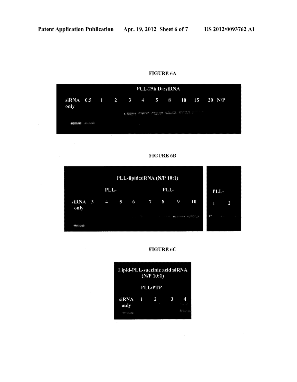 NUCLEIC ACID DELIVERY COMPOUNDS - diagram, schematic, and image 07