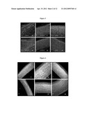 ANTI-CONNEXIN COMPOUNDS TARGETED TO CONNEXINS AND METHODS OF USE THEREOF diagram and image