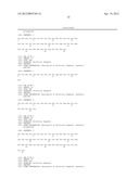 Stem Cell Targeting with Dock-and-Lock (DNL) Complexes diagram and image