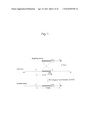 HUMAN ARTIFICIAL CHROMOSOME (HAC) VECTOR diagram and image