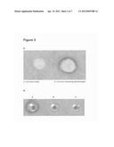 PROTEASE FOR WOUND CONDITIONING AND SKIN CARE diagram and image