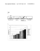 PROMOTION OF NEURONAL INTEGRATION IN NEURAL STEM CELL GRAFTS diagram and image