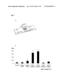 PROMOTION OF NEURONAL INTEGRATION IN NEURAL STEM CELL GRAFTS diagram and image