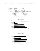 CHIMERIC RECEPTOR GENES AND CELLS TRANSFORMED THEREWITH diagram and image