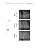 Agents for Treatment of HCV and Methods of Use diagram and image