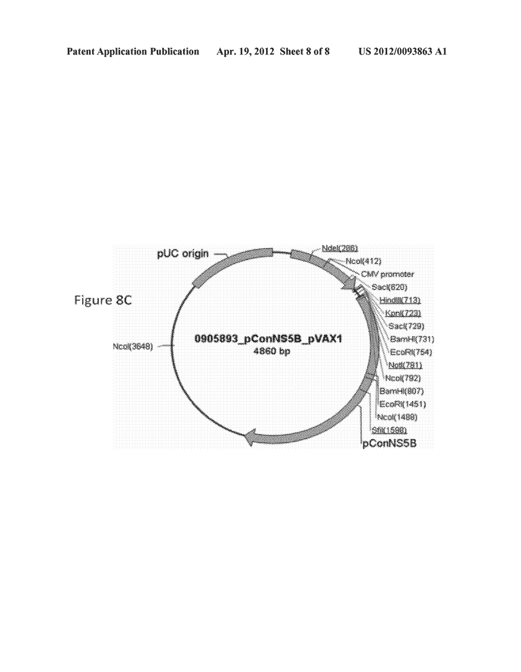 HCV VACCINES AND METHODS FOR USING THE SAME - diagram, schematic, and image 09