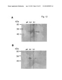 Method For Polypeptide Transfer Into Cells diagram and image