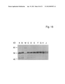 Method For Polypeptide Transfer Into Cells diagram and image