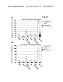 Method For Polypeptide Transfer Into Cells diagram and image