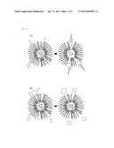 DISRUPTIVE POLYMER MICELLE COMPOSITION diagram and image