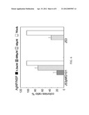 COMPOSITE OF SILVER NANOPARTICLE AND LAYERED INORGANIC CLAY FOR INHIBITING     GROWTH OF SILVER-RESISTANT BACTERIA diagram and image