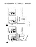 METHODS FOR TREATING AUTOIMMUNE DISEASE USING BIOCOMPATIBLE BIOABSORBABLE     NANOSPHERES diagram and image