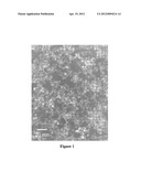 PRODUCTION OF SELF-SUPPORTING CERAMIC MATERIALS HAVING A REDUCED THICKNESS     AND CONTAINING METAL OXIDES diagram and image