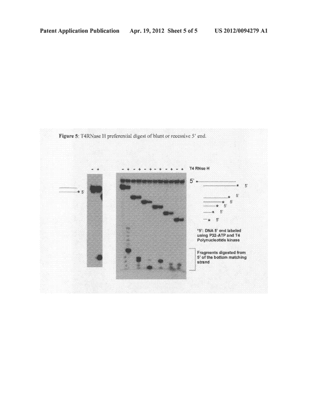 Use of enzymes for altering ratios of partially matched polynucleotides - diagram, schematic, and image 06