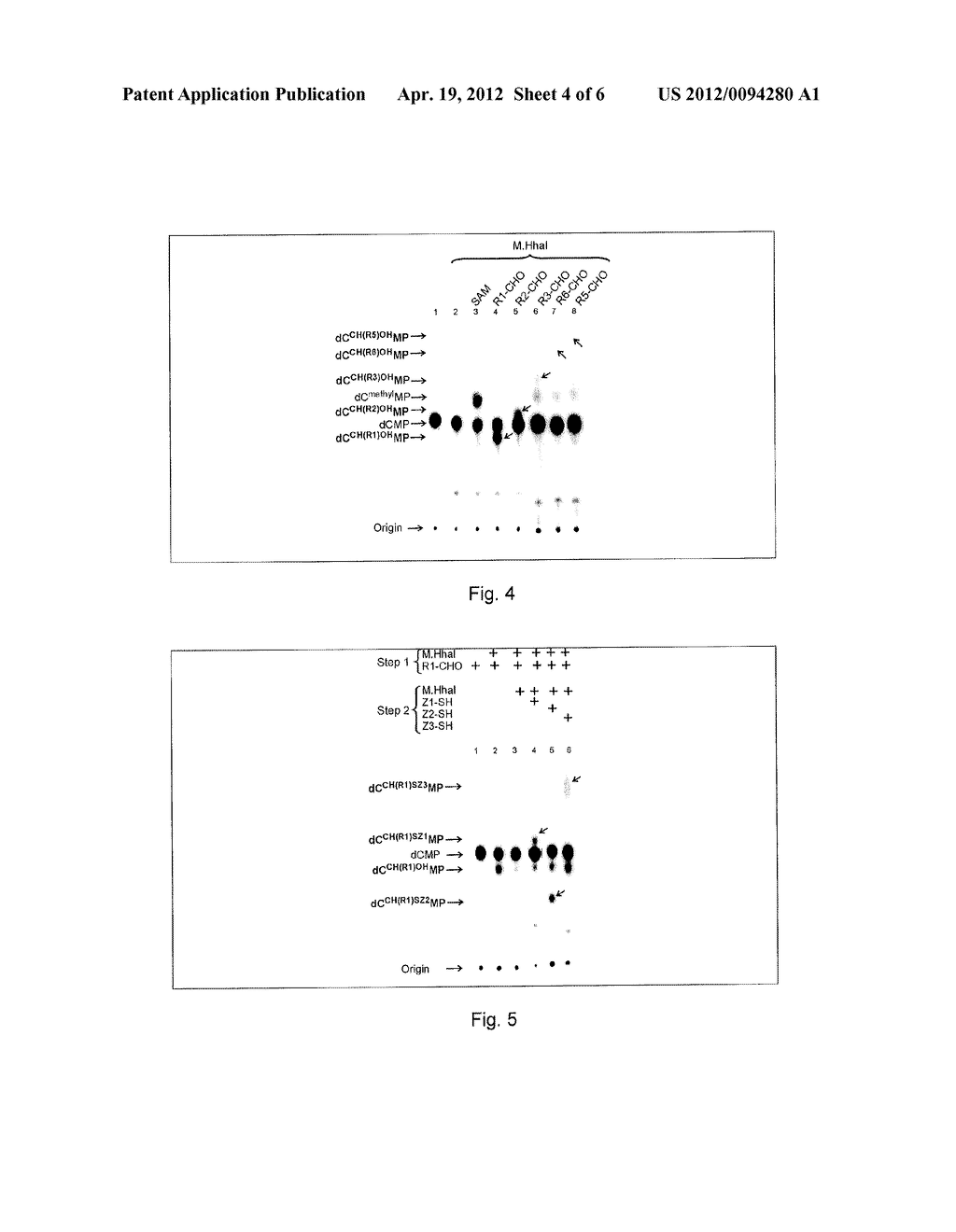 DERIVATIZATION OF BIOMOLECULES BY COVALENT COUPLING OF NON-COFACTOR     COMPOUNDS USING METHYLTRANSFERASES - diagram, schematic, and image 05