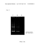 METHOD FOR DETECTING G-QUADRUPLEX, METHOD FOR DETECTING     G-QUADRUPLEX-FORMING DNA AND METHOD FOR DETERMINING TELOMERASE ACTIVITY diagram and image